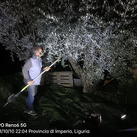 Agriturismo Monaci Templari Себорга Екстериор снимка