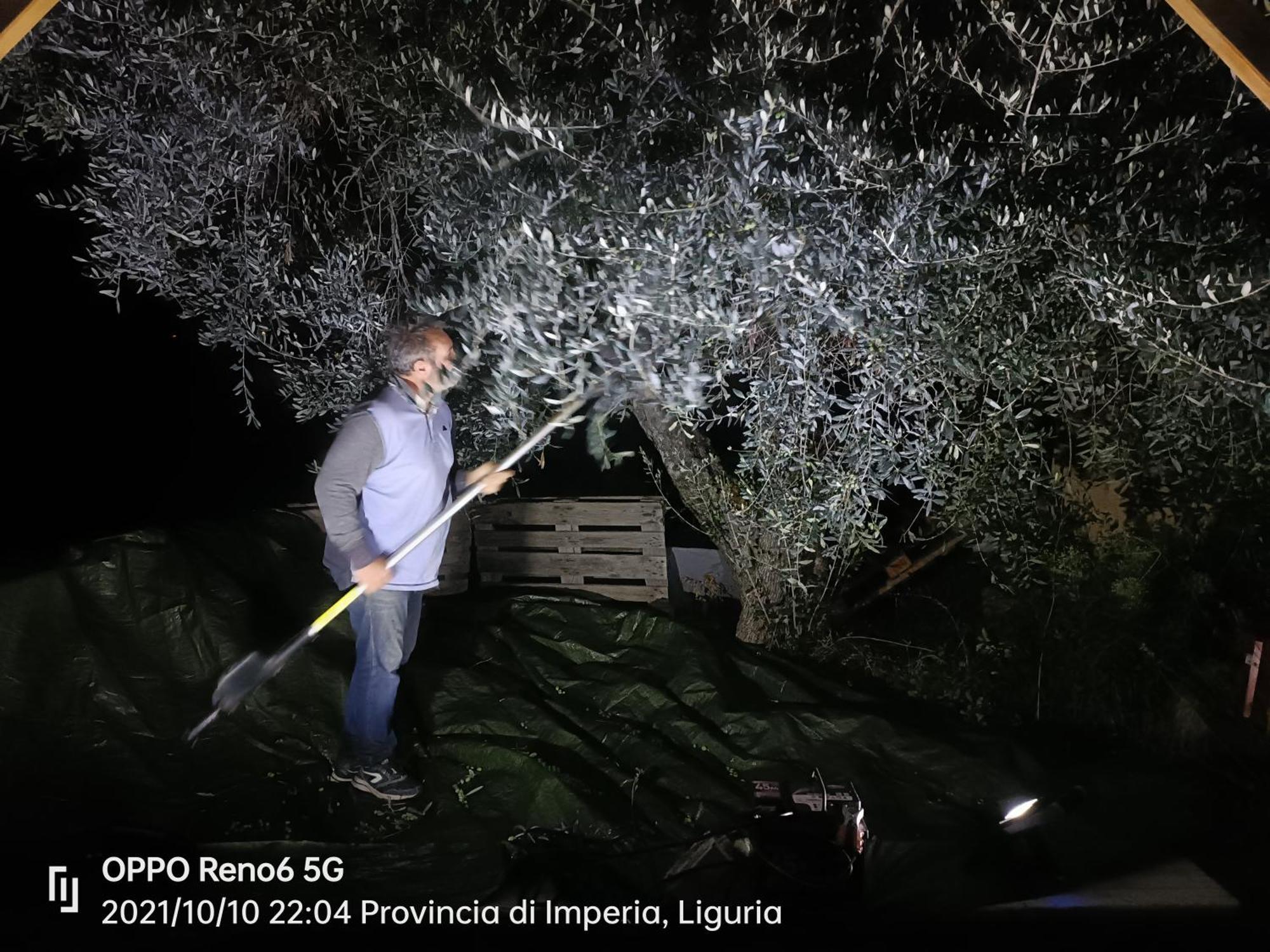 Agriturismo Monaci Templari Себорга Екстериор снимка