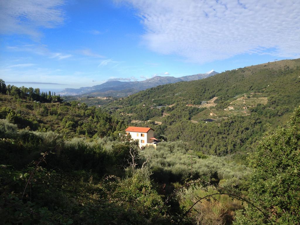Agriturismo Monaci Templari Себорга Екстериор снимка